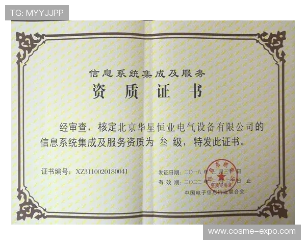 2024年最新lt官网入口官方入口地址及登录流程详细解析，帮助用户轻松访问lt官网入口