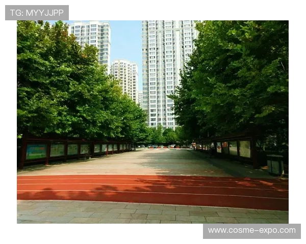 乐天体育登录遇到问题怎么办，全面解决登录难题的实用技巧